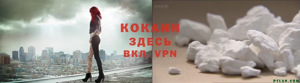 a pvp Магас