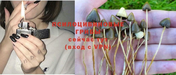 трава Майский