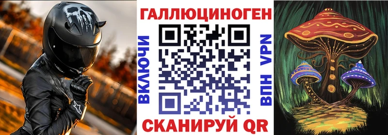 Купить где  Новопавловск  Галлюциногенные грибы мицелий 